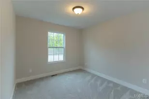 1719 Rue Orleans, Bonne Terre, MO 63628 - Photo 19