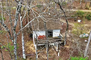 46 Dora Dr, Greendale, MO 63944 - Photo 55