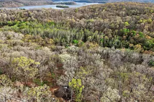 46 Dora Dr, Greendale, MO 63944 - Photo 63