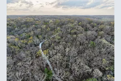 46 Dora Drive, Greendale, MO 63944 - Photo 81