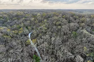 46 Dora Dr, Greendale, MO 63944 - Photo 81