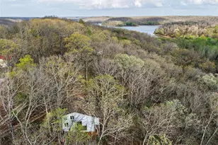 46 Dora Dr, Greendale, MO 63944 - Photo 59