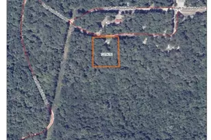 46 Dora Dr, Greendale, MO 63944 - Photo 95