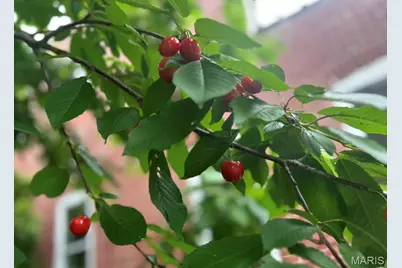 2650 Pennsylvania Avenue, Saint Louis, MO 63118 - Photo 47