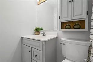 250 Valley View Ridge Dr, Valley Park, MO 63088 - Photo 29