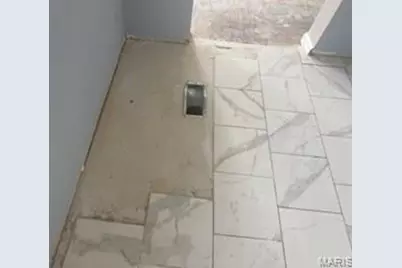 125 E Etta Avenue, Saint Louis, MO 63125 - Photo 19