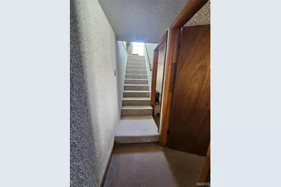 3719 Orient Avenue, Saint Louis, MO 63125 - Photo 33