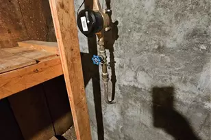 3719 Orient Ave, Saint Louis, MO 63125 - Photo 29