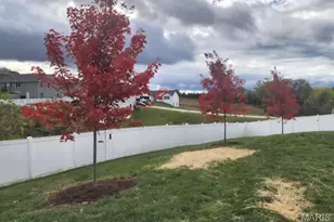 204 Boardwalk Ct, Union, MO 63084 - Photo 9