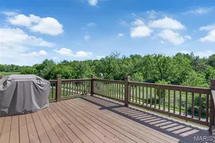 515 Wilmer Hollow Ln, Wentzville, MO 63385 - Photo 49