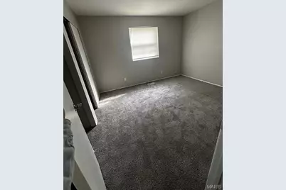 10202 Castle Drive, Saint Louis, MO 63136 - Photo 5