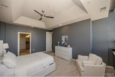 400 S 14th Street #1218, Saint Louis, MO 63103 - Photo 13