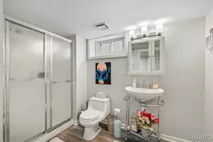 3436 Tedmar Ave, Saint Louis, MO 63139 - Photo 33