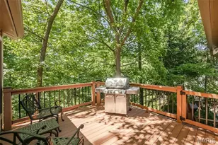 14603 Big Timber Ln, Chesterfield, MO 63017 - Photo 11