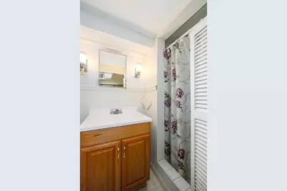 4932 Lisette Avenue, Saint Louis, MO 63109 - Photo 35