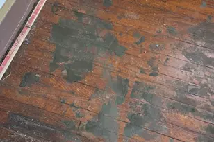 511 Madison St, Stanton, MO 63435 - Photo 9