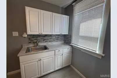 919 S Boyle Avenue #923, Saint Louis, MO 63110 - Photo 11