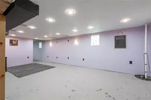 8708 S Grand Ave, Saint Louis, MO 63125 - Photo 33