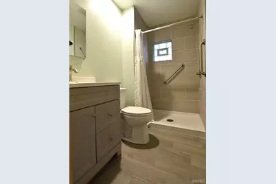 6650 Odell Street, Saint Louis, MO 63139 - Photo 9