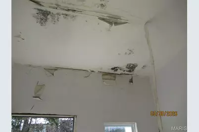 5530 Partridge Avenue, Saint Louis, MO 63120 - Photo 15