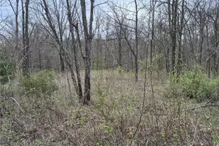 29055 Pike 338, Middletown, MO 63359 - Photo 37