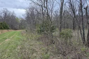 29055 Pike 338, Middletown, MO 63359 - Photo 39