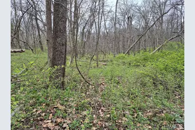 29055 Pike 338, Middletown, MO 63359 - Photo 35