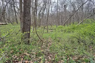 29055 Pike 338, Middletown, MO 63359 - Photo 35