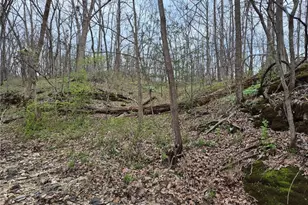 29055 Pike 338, Middletown, MO 63359 - Photo 31