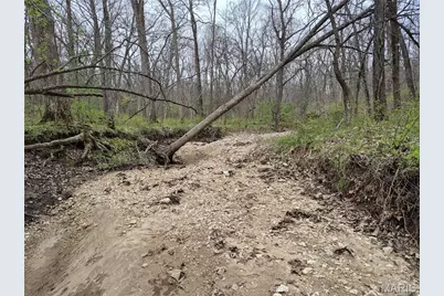 29055 Pike 338, Middletown, MO 63359 - Photo 41