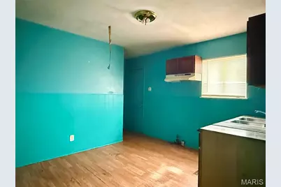 9604 Winkler Drive, Saint Louis, MO 63136 - Photo 9