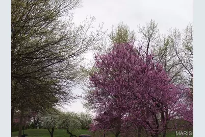 3016 Autumn Shores Drive, Maryland Heights, MO 63043 - Photo 33