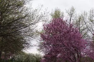 3016 Autumn Shores Dr, Maryland Heights, MO 63043 - Photo 33