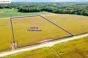 112 Otto Ct, Silex, MO 63377 - Photo 1