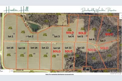 100 Otto Court, Silex, MO 63377 - Photo 9