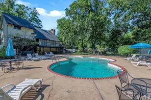 16 Conway Cove Dr, Chesterfield, MO 63017 - Photo 31