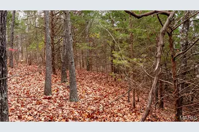 000 Rue Marseille, Bonne Terre, MO 63628 - Photo 19