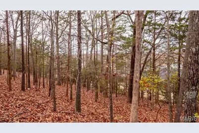 000 Rue Marseille, Bonne Terre, MO 63628 - Photo 13