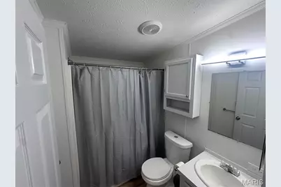 50 Brooks Lane, Winfield, MO 63389 - Photo 15