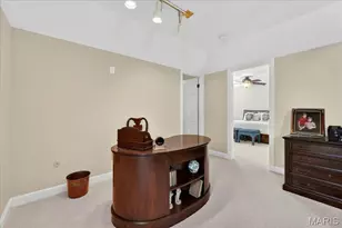 14318 Valley Meadow Ct E, Chesterfield, MO 63017 - Photo 43