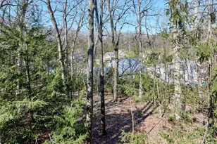 16614 Highland Summit Dr, Wildwood, MO 63011 - Photo 91