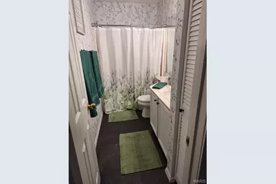 450 Shenandoah Drive, Farmington, MO 63640 - Photo 19