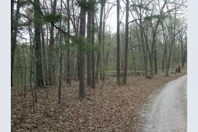 0000 W State Highway 8, Potosi, MO 63664 - Photo 11