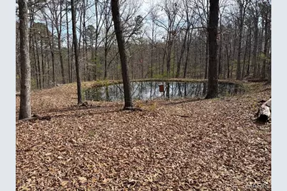 0000 W State Highway 8, Potosi, MO 63664 - Photo 3