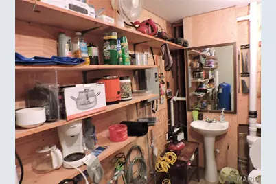 38770 Pike 9203, Annada, MO 63330 - Photo 31