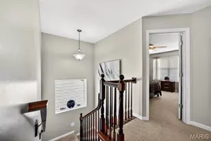 113 Peruque Estates Ln, Wentzville, MO 63385 - Photo 19
