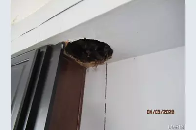 10552 Earl Drive, Castle Point, MO 63136 - Photo 11