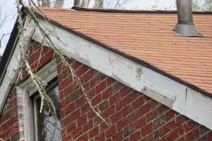 6821 Primrose Ave, Pagedale, MO 63133 - Photo 3