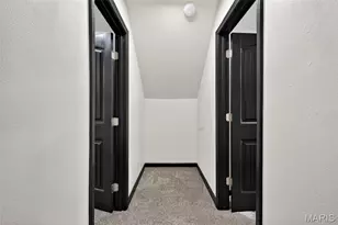 4252 Gertrude Ave, Saint Louis, MO 63116 - Photo 37