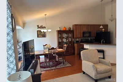 20 Parkville Lane, Festus, MO 63028 - Photo 13